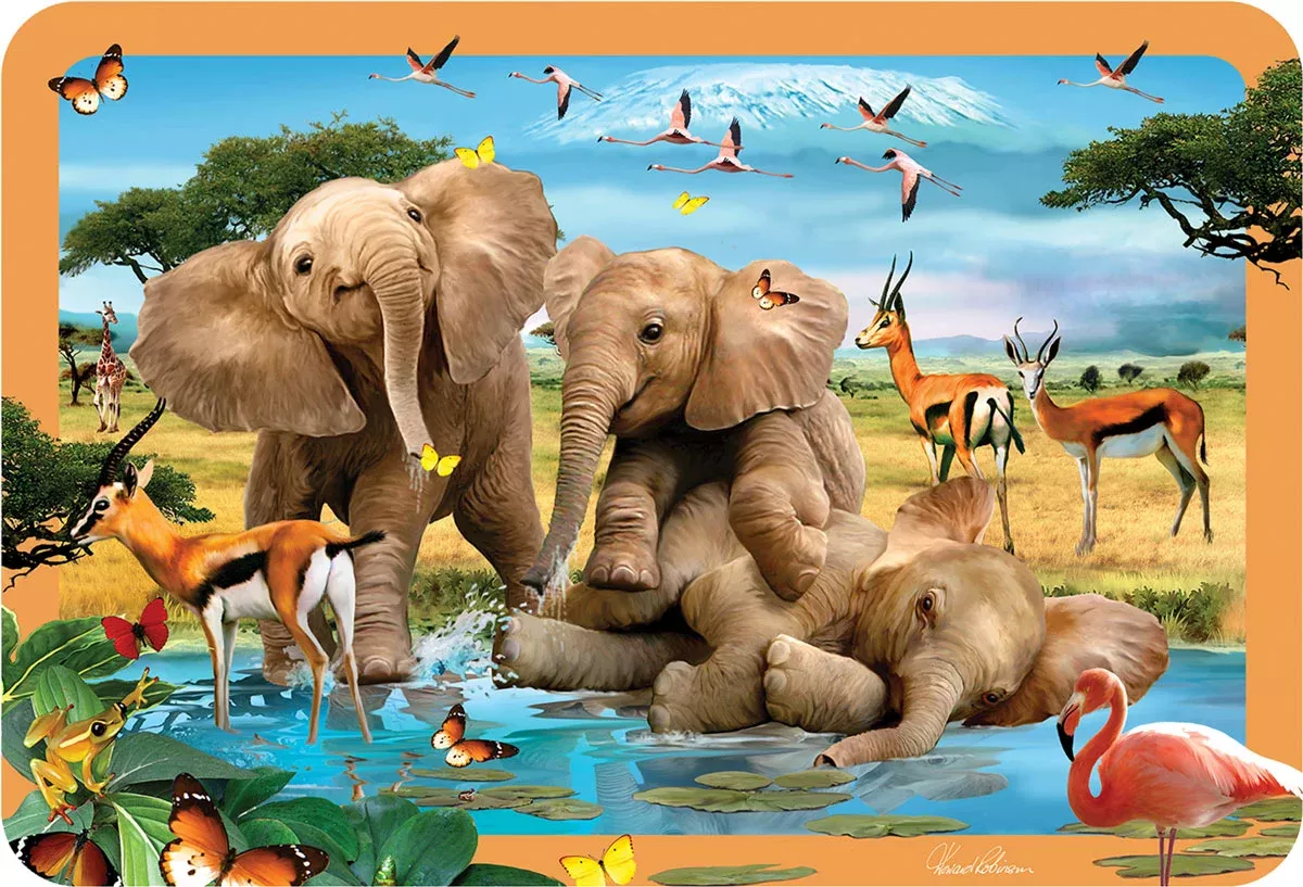 3D Lenticular Placemats