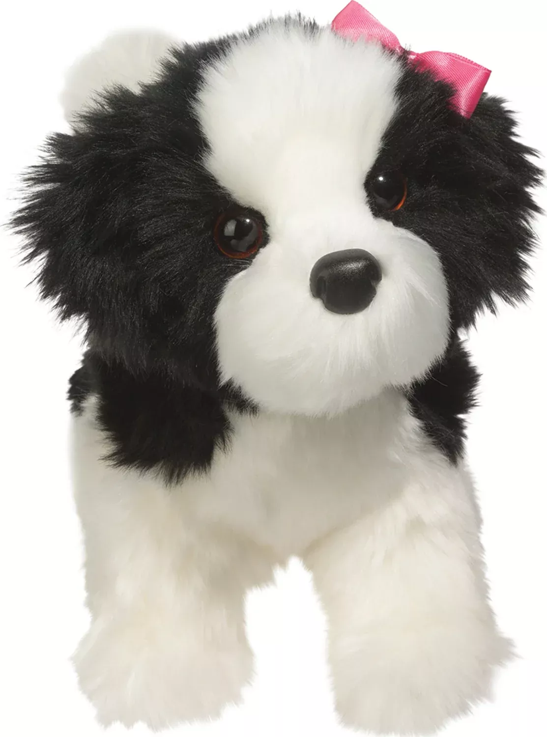 Poofy Shih Tzu