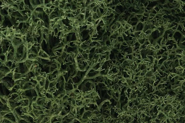 Woodland Scenics L163 Lichen Medium Green
