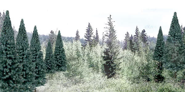 Woodland Scenics WDS TR1588 WDS1588 Blue Spruce 13 Count 4-6 inch tall